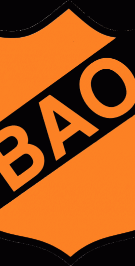 BAO ΠΑΙΔΙΚΟ ΕΦΗΒΙΚΟ 2015/2016