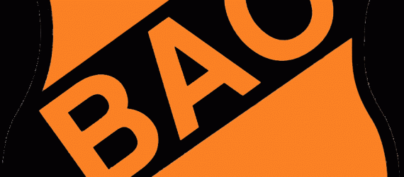 BAO ΠΑΙΔΙΚΟ ΕΦΗΒΙΚΟ 2015/2016