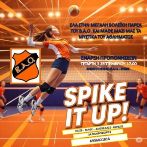 VOLLEY IMAGE